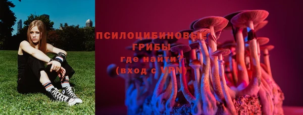 спайс Богданович