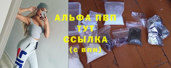 apvp Богородск