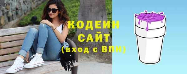 дмт Бородино