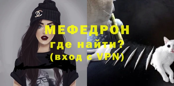дживик Бронницы