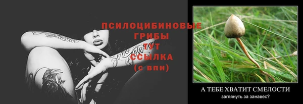 шишки Богородицк
