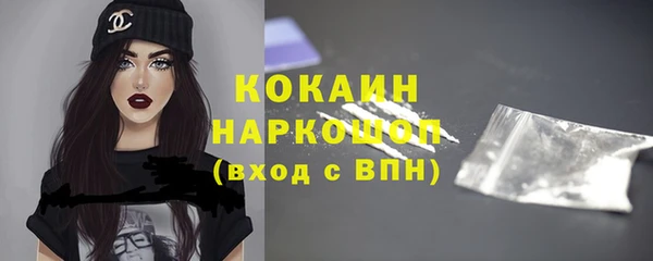 шишки Богородицк