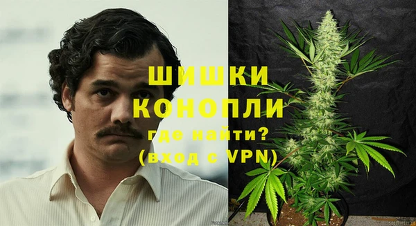 шишки Богородицк