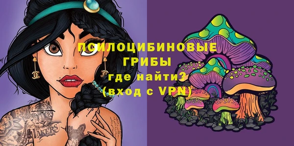 дживик Бронницы