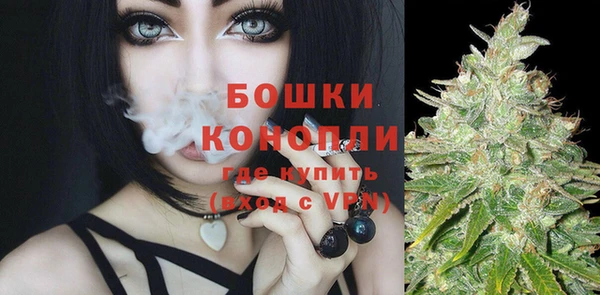 спайс Богданович