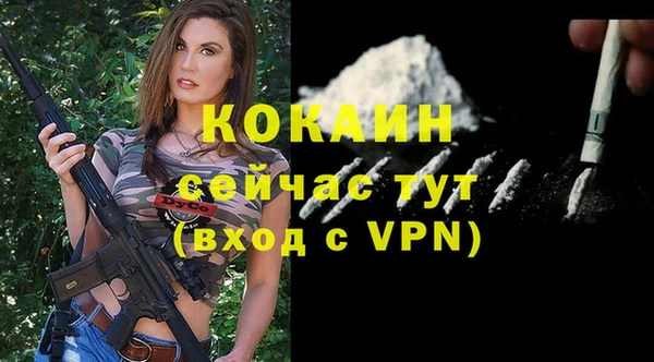 шишки Богородицк