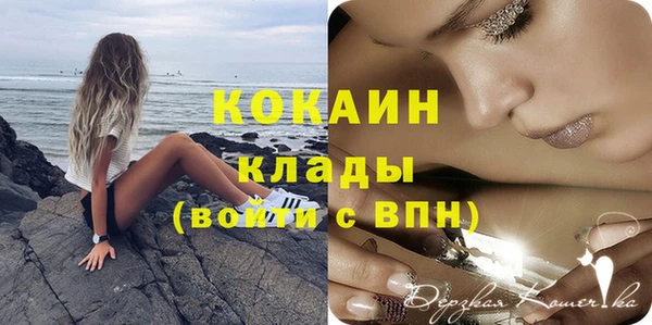дживик Бронницы