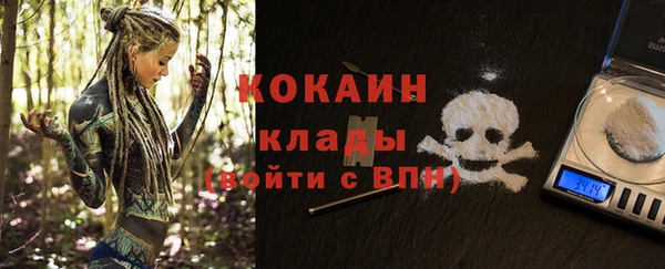 шишки Богородицк