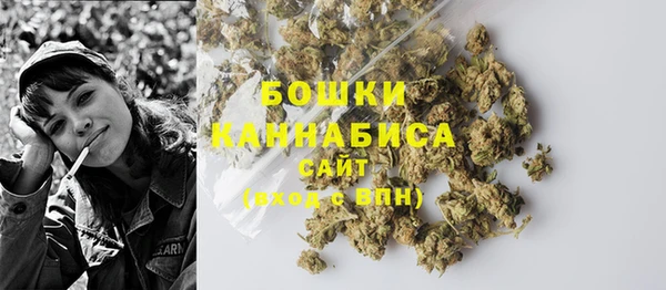 шишки Богородицк