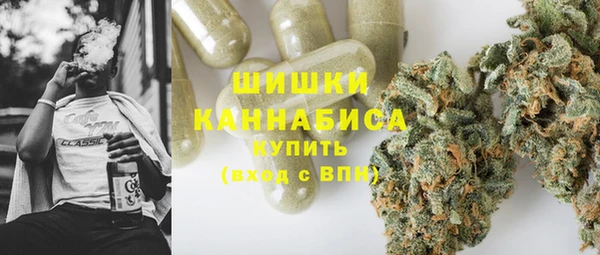 дмт Бородино