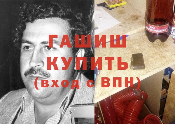 дмт Бородино