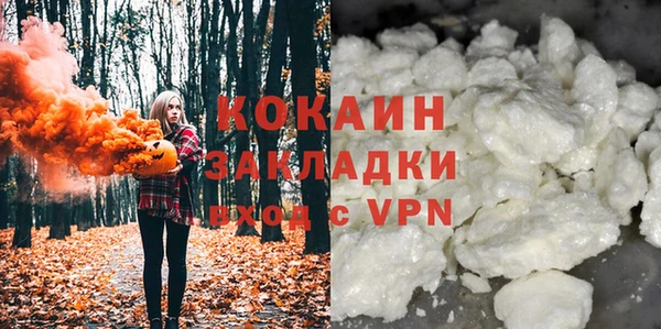 дмт Бородино