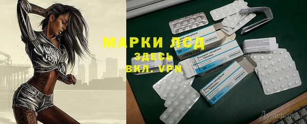 спайс Богданович