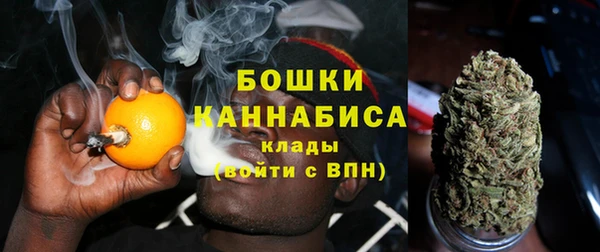 дмт Бородино